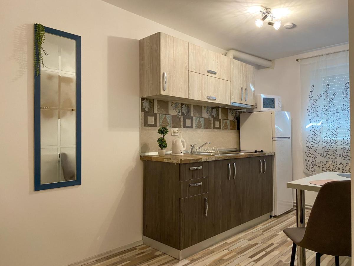 Blue Dream Apartment Timisoara Exterior photo